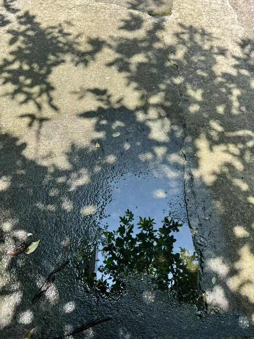 微信图片_20250506221737.jpg 微信图片_20250506221737.jpg