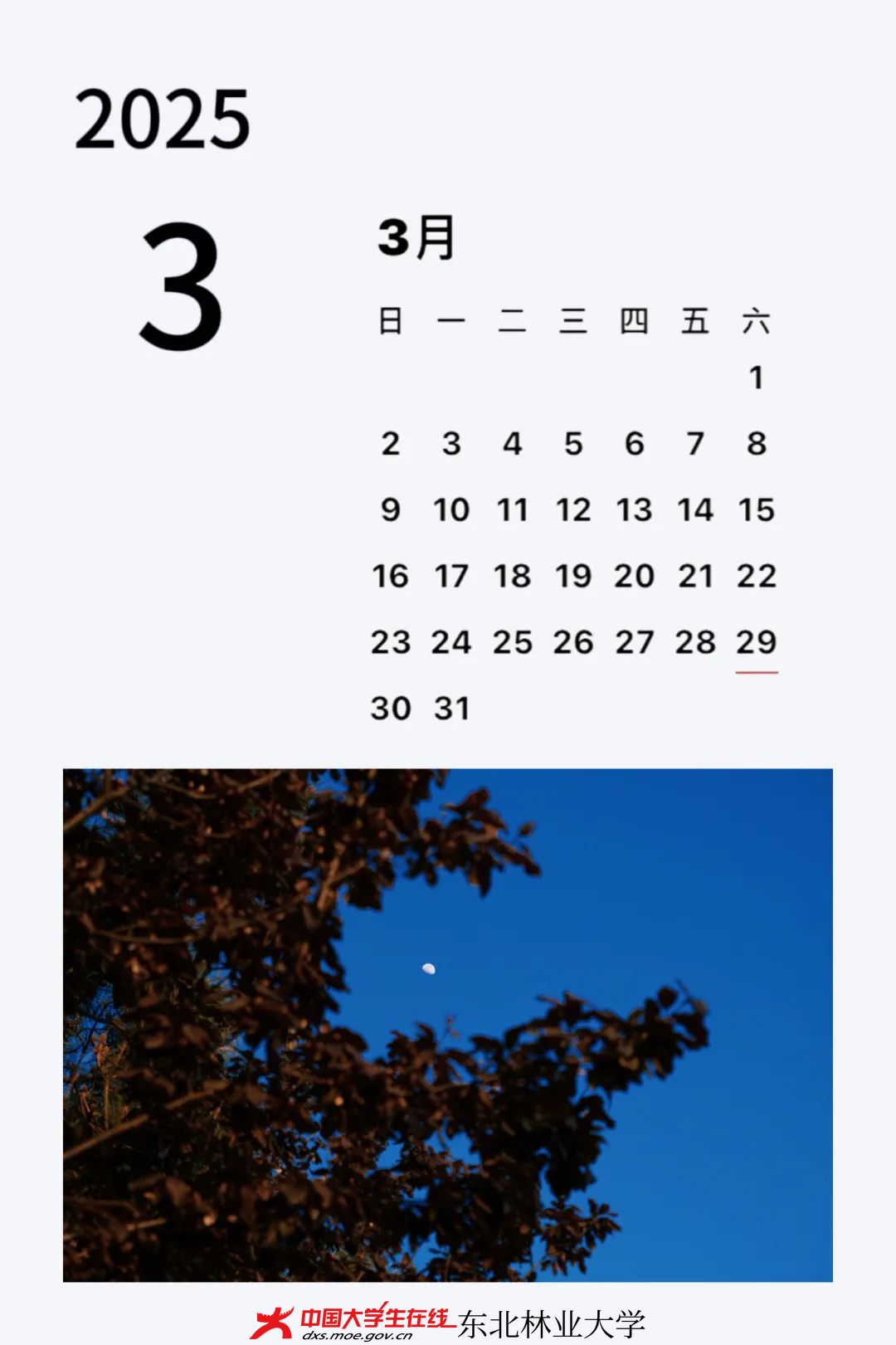 微信图片_20240428131129.jpg 微信图片_20240428131129.jpg