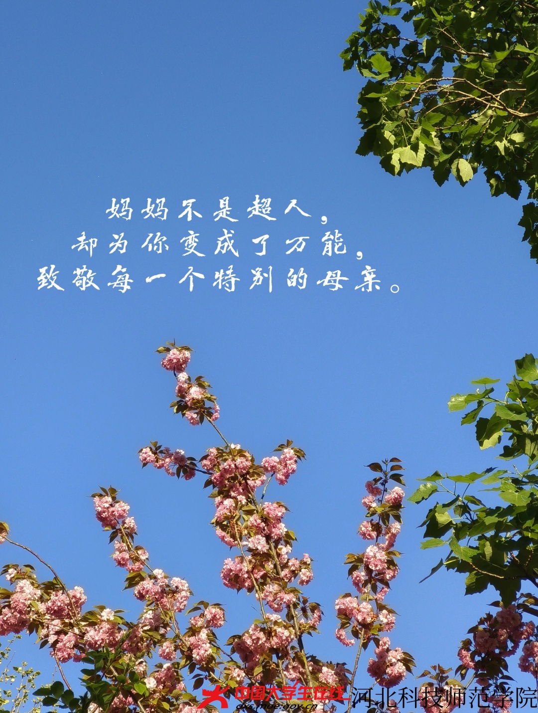 妈妈的旷野（寇雅涵 摄）.jpg