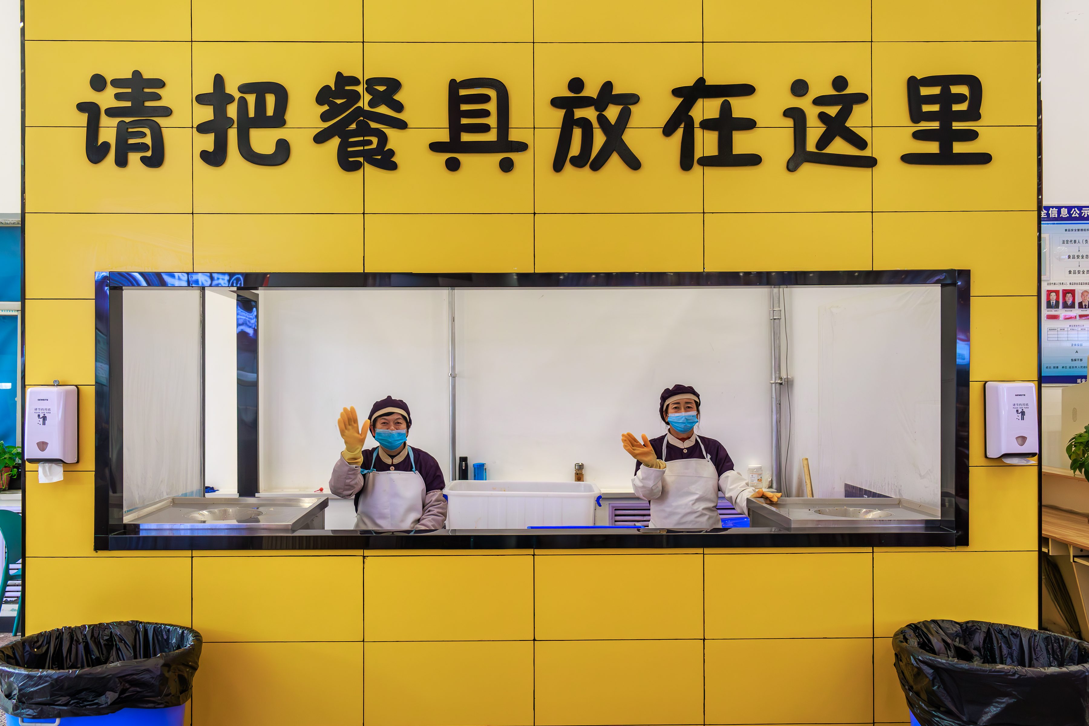 _X0A9929-已增强-降噪.jpg _X0A9929-已增强-降噪.jpg
