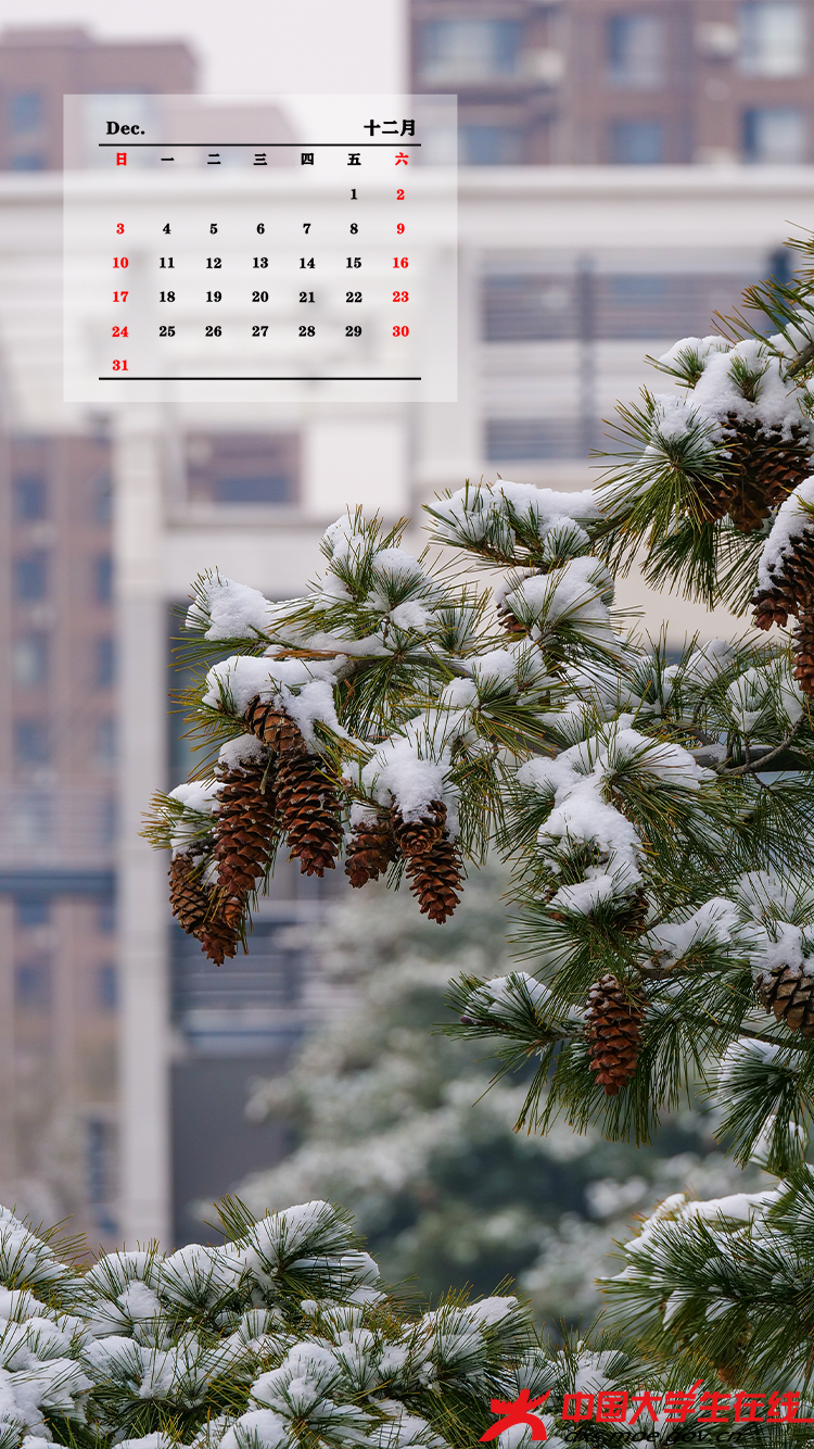 雪景图。张语良摄.png 雪景图。张语良摄.png