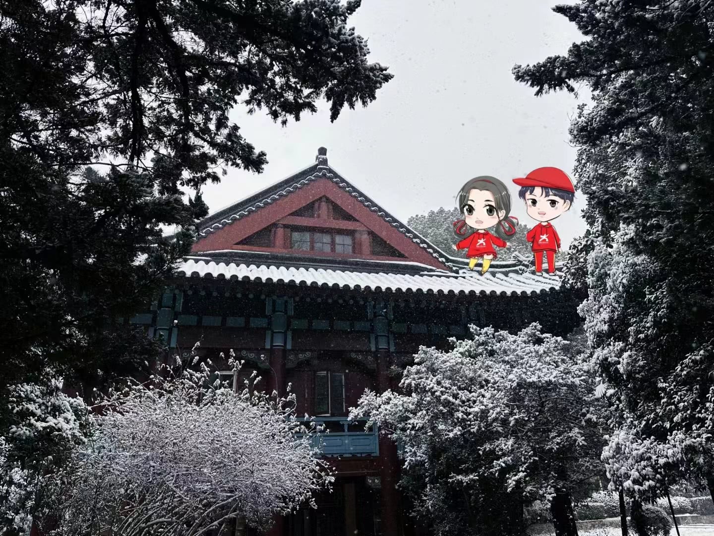 白雪映绿叶，绿树衬红墙，古朴的随园，美丽的南师。南京师范大学 艾欣宇 摄