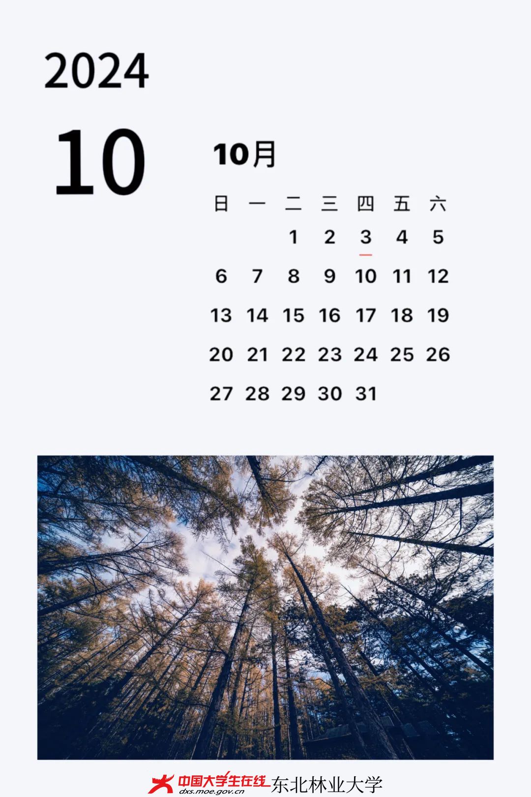 微信图片_20240428131055.jpg 微信图片_20240428131055.jpg