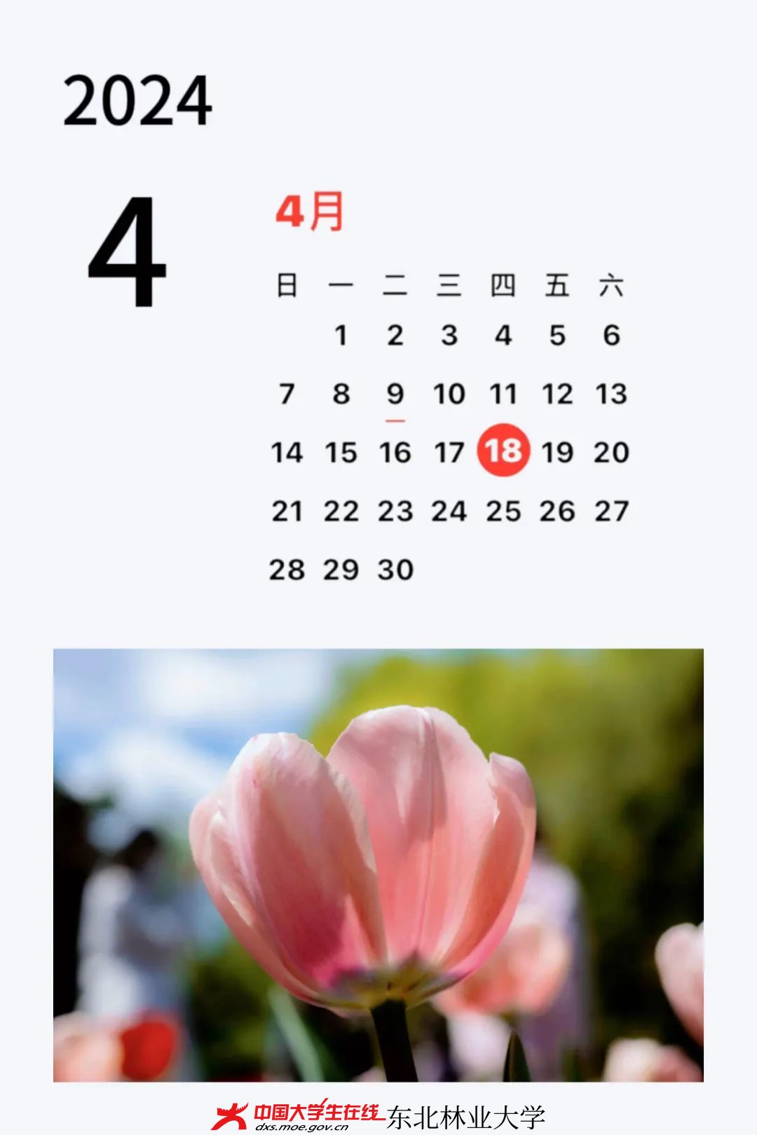 微信图片_20240428131018.jpg 微信图片_20240428131018.jpg