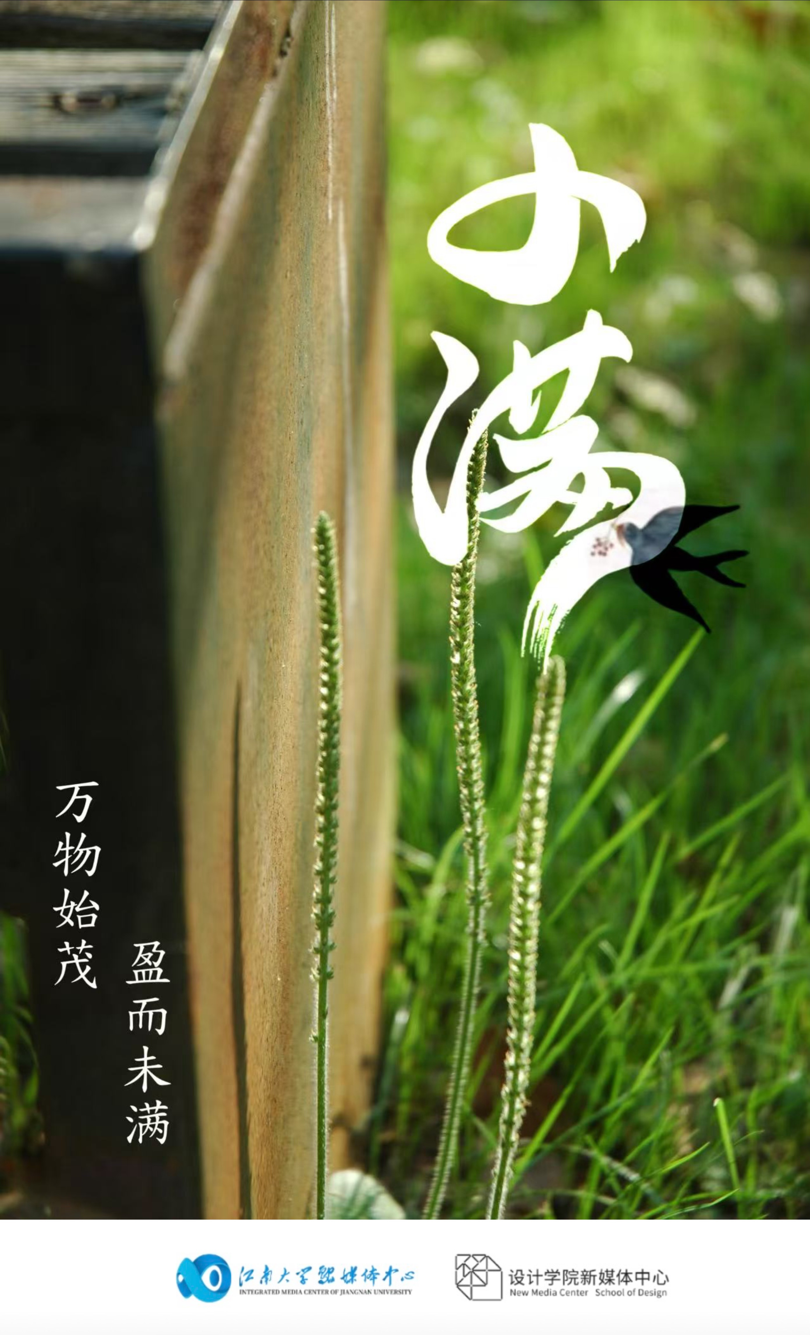 万物始茂，盈而未满（图片来源：江南大学）