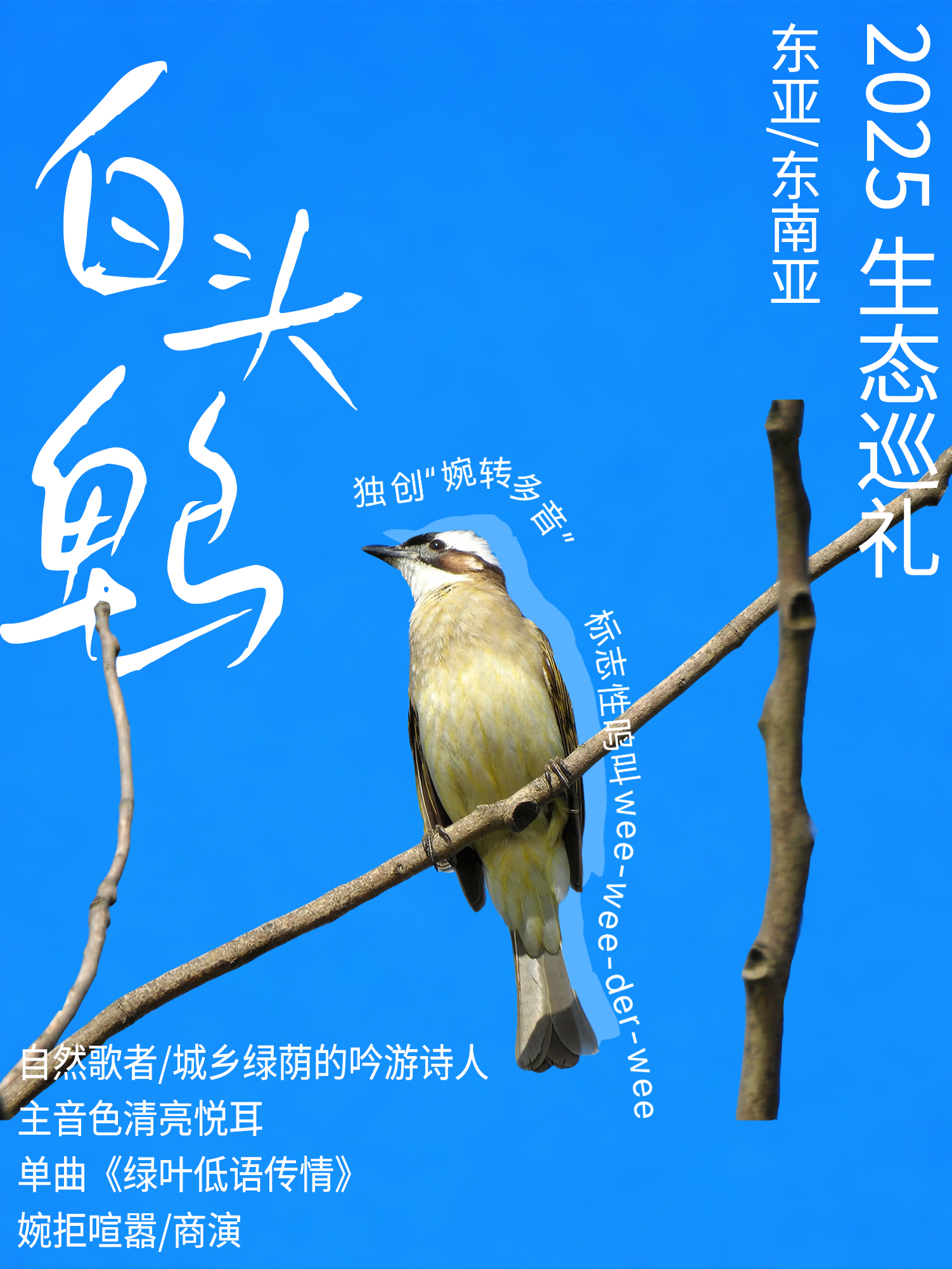 摄影｜华中农业大学野生动物保护协会