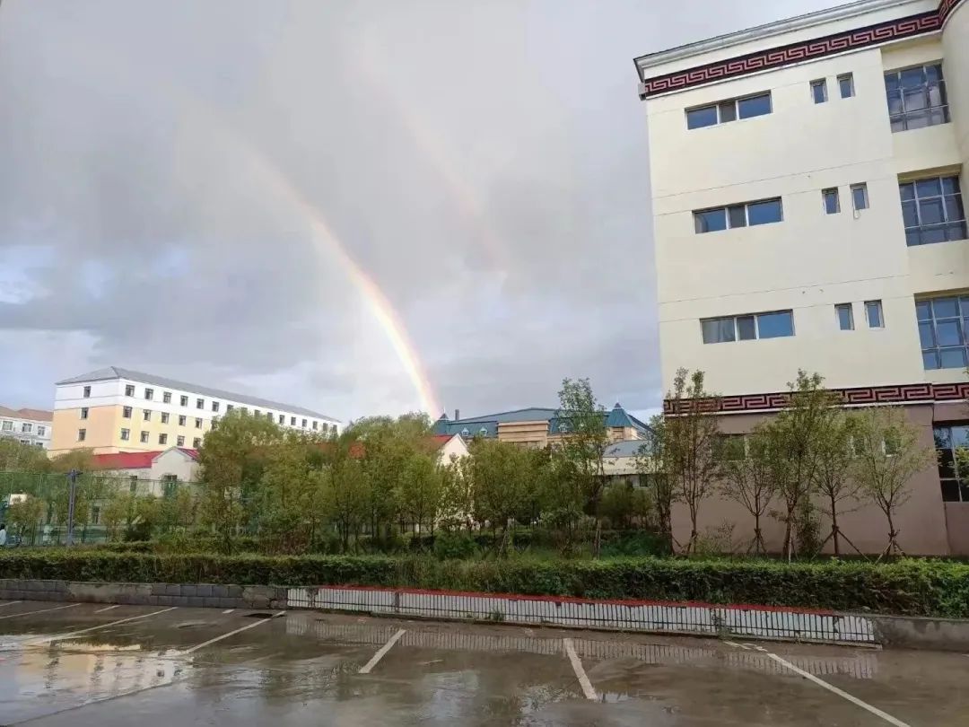 无意间绘成了一幅呼院风景图