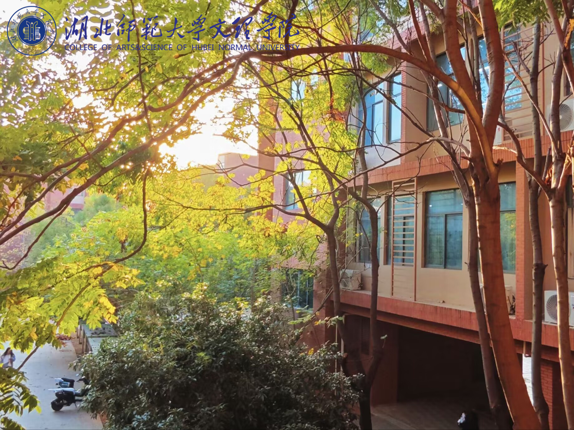 明艳树叶 王嘉菲