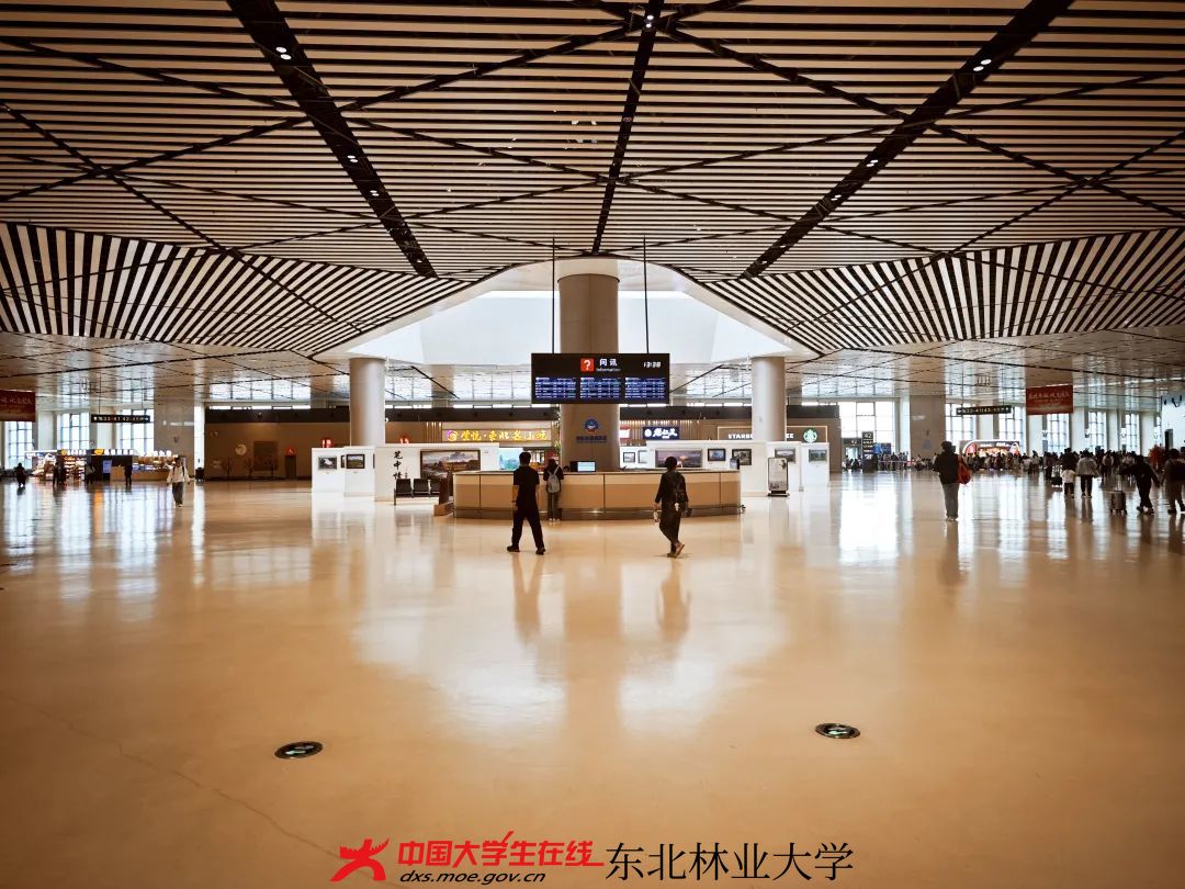 小东足迹||看山河远阔 青春似火 - 东北林业大学 - 中国大学生在线