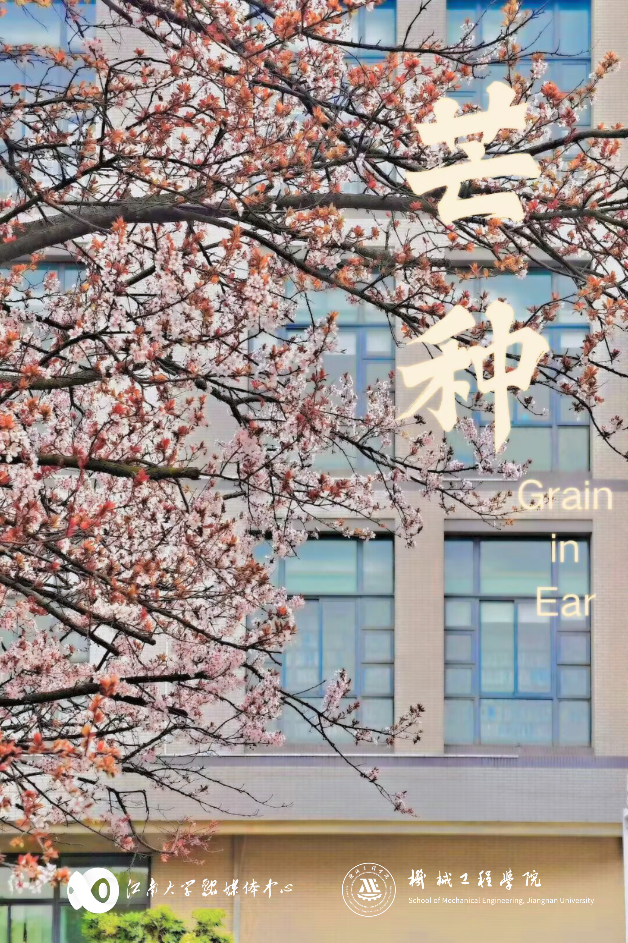 江南大学的草木风光（图片来源：江南大学）