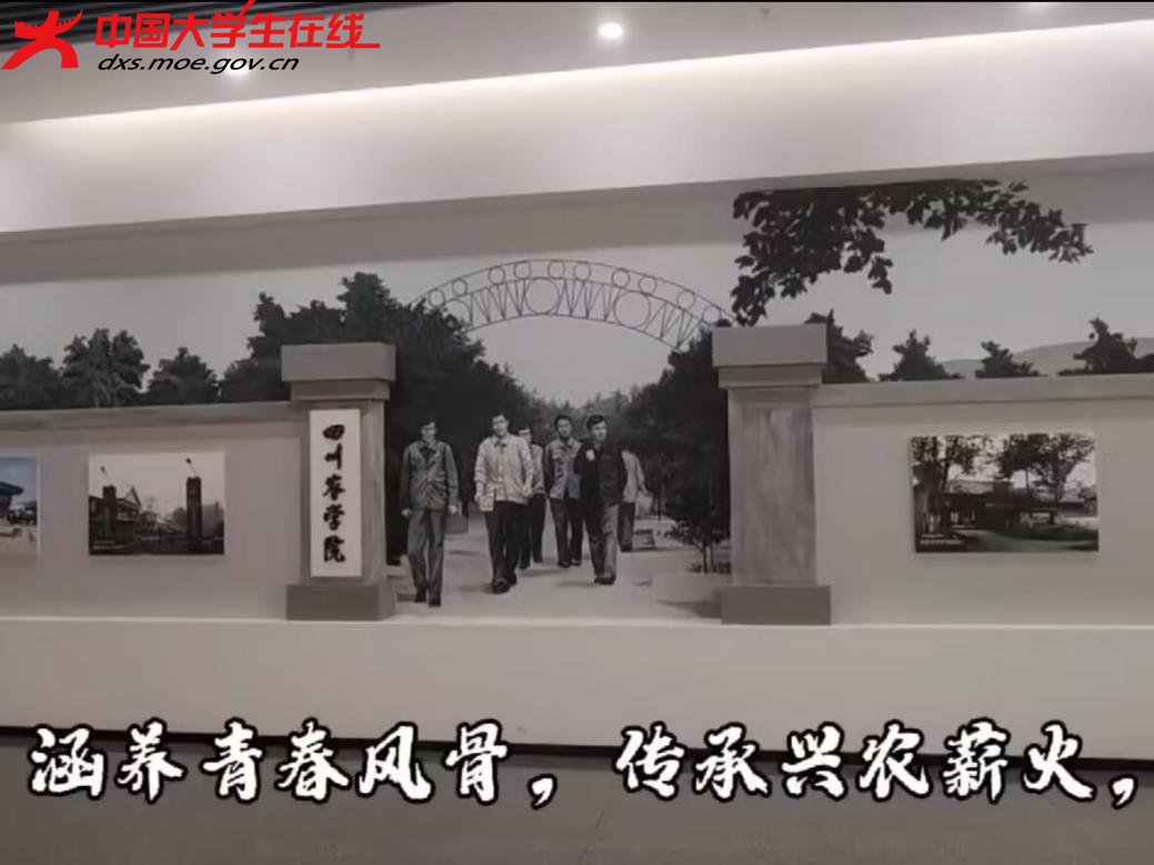 图片2.png 图片2.png