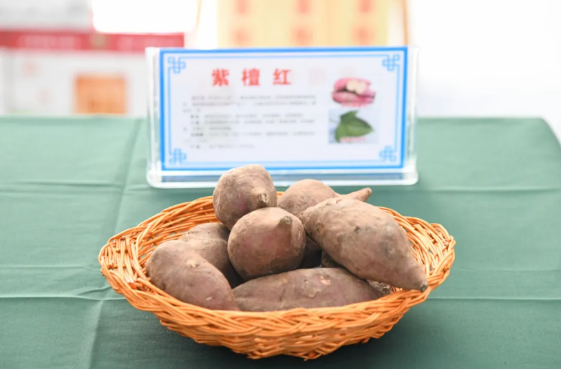 屏幕截图 2025-02-10 220147.png