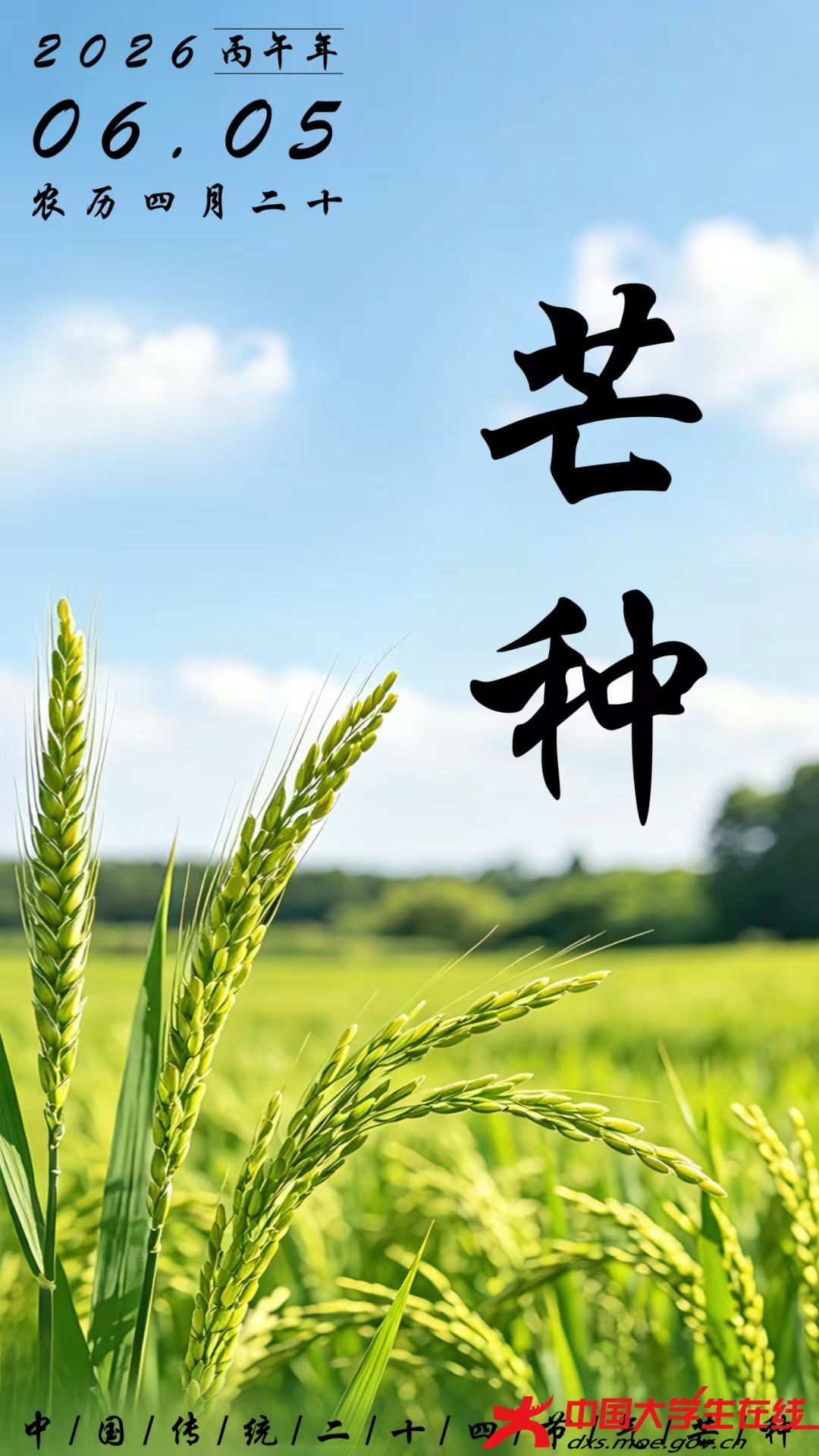 微信图片_20260605185013_251_89.jpg 微信图片_20260605185013_251_89.jpg