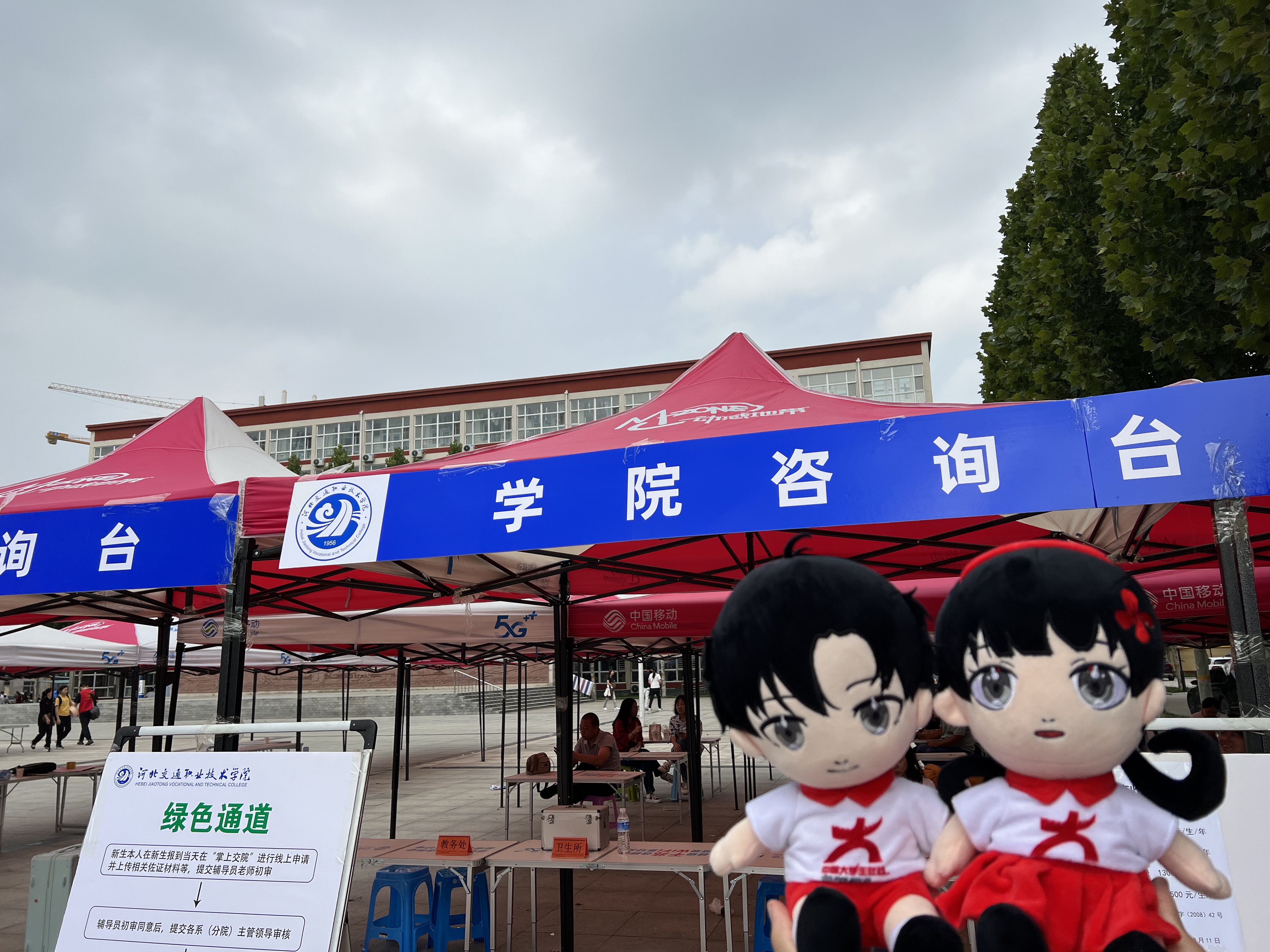 小中带新同学来报道