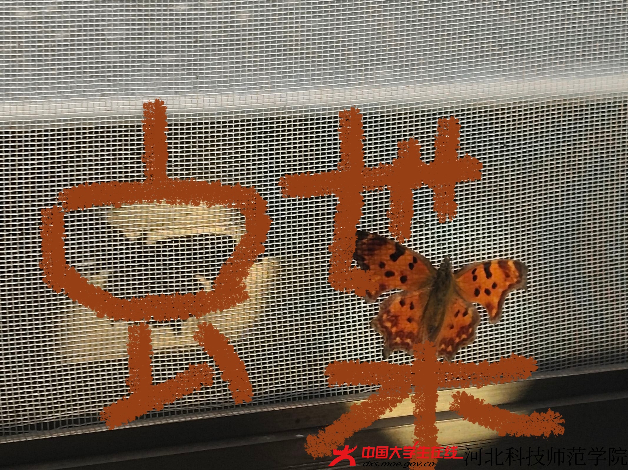 图9 高秀芳 摄 徐依林 绘.jpg 图9 高秀芳 摄 徐依林 绘.jpg