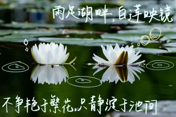 3.png 3.png