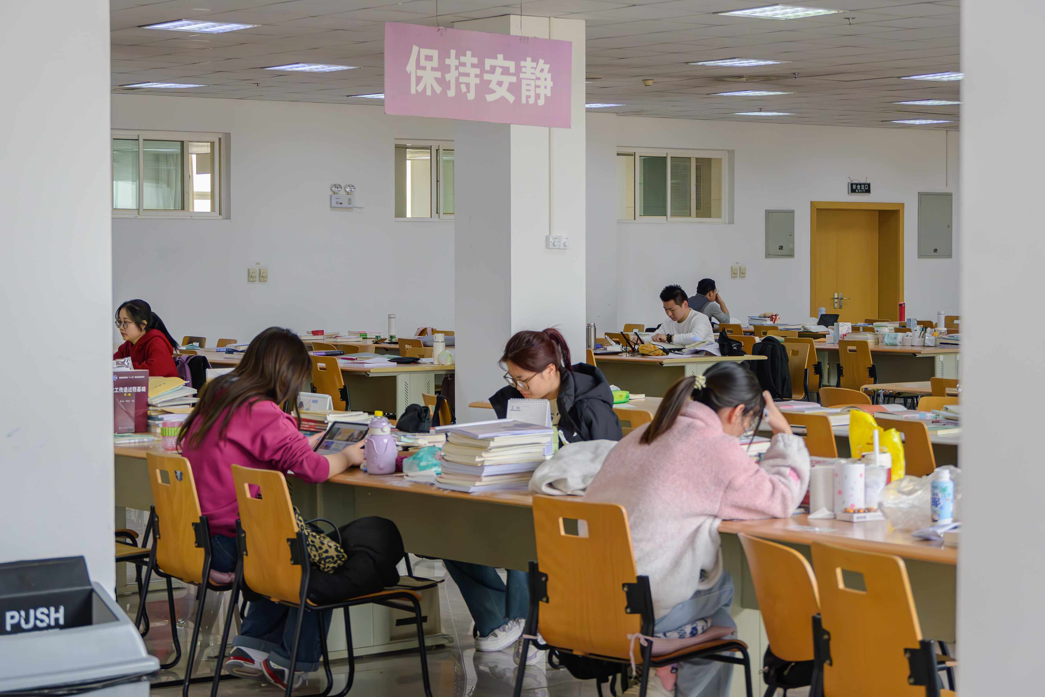 DSC_1914-已增强-降噪.jpg DSC_1914-已增强-降噪.jpg