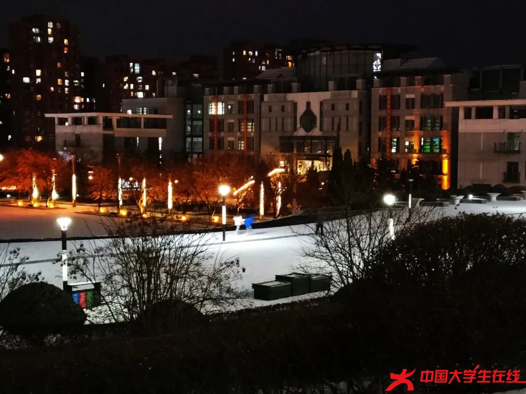 雪夜美景。王占奥摄.jfif
