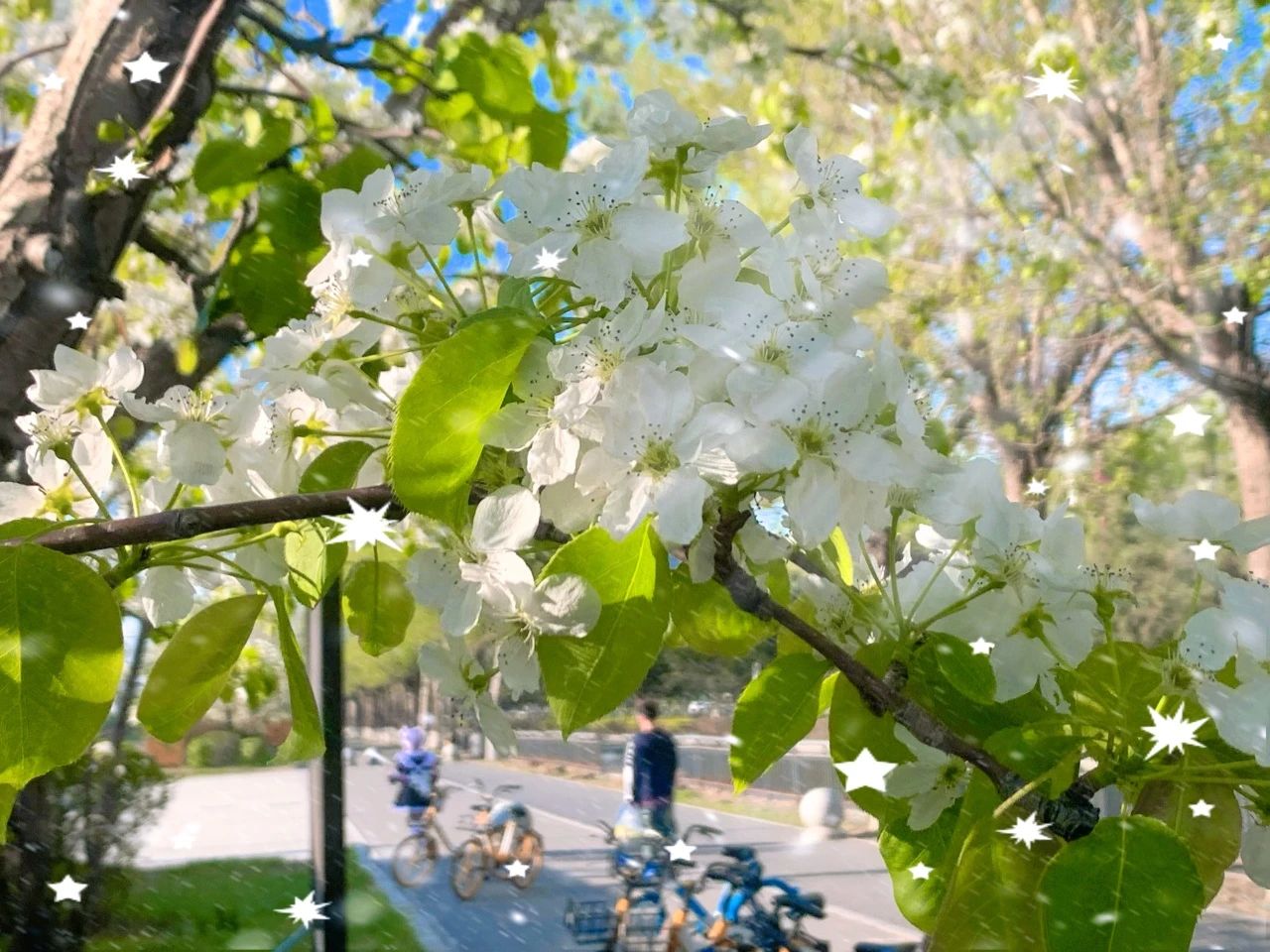 微信图片_20240509122207.jpg 微信图片_20240509122207.jpg