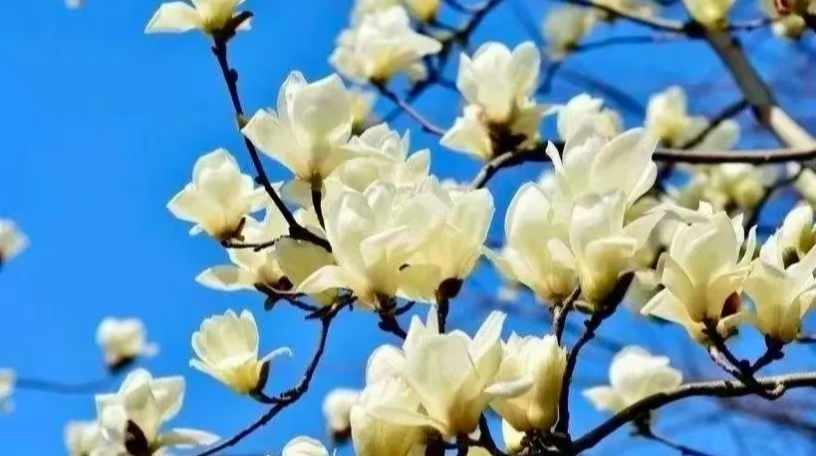 微信图片_20250422140339.jpg 微信图片_20250422140339.jpg