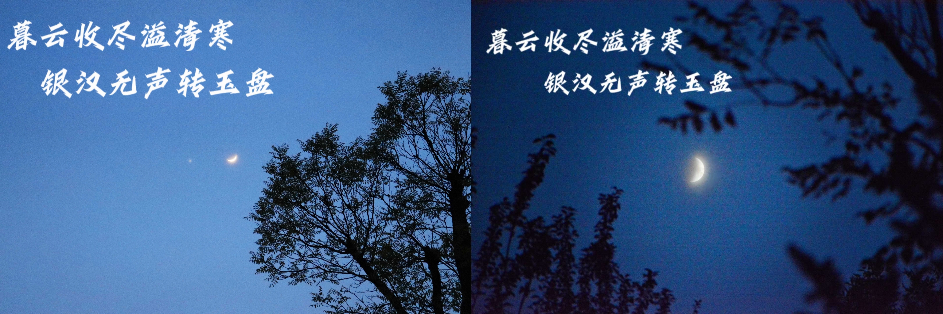 87d643a36e991084c854c0dbcb671c0.jpg