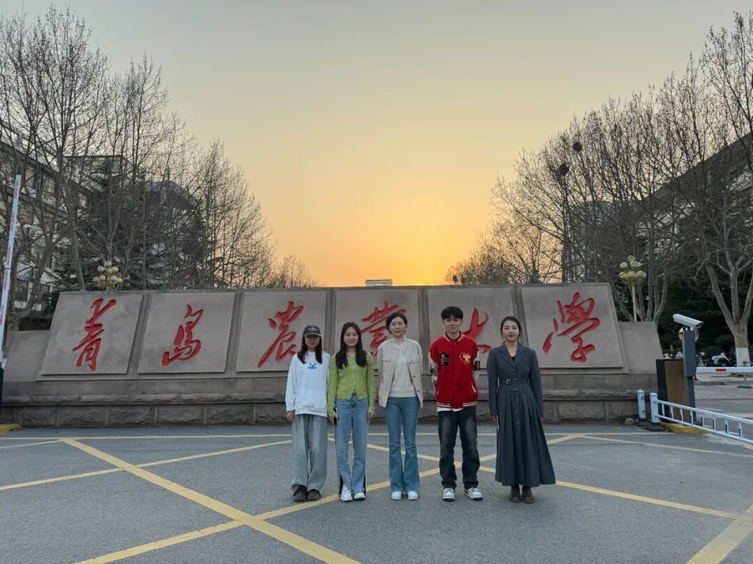 10.jpg 10.jpg