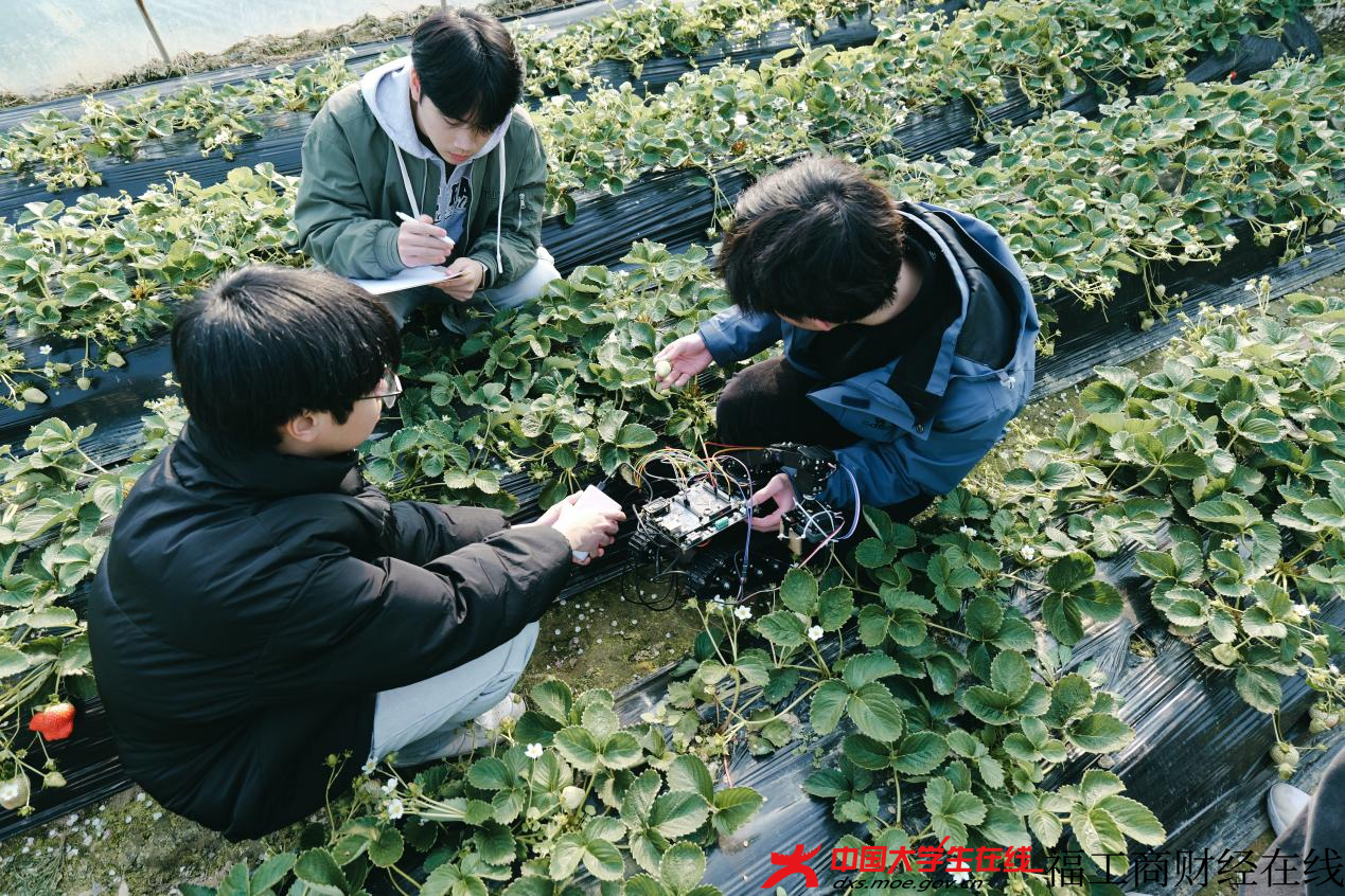 图片3.png 图片3.png