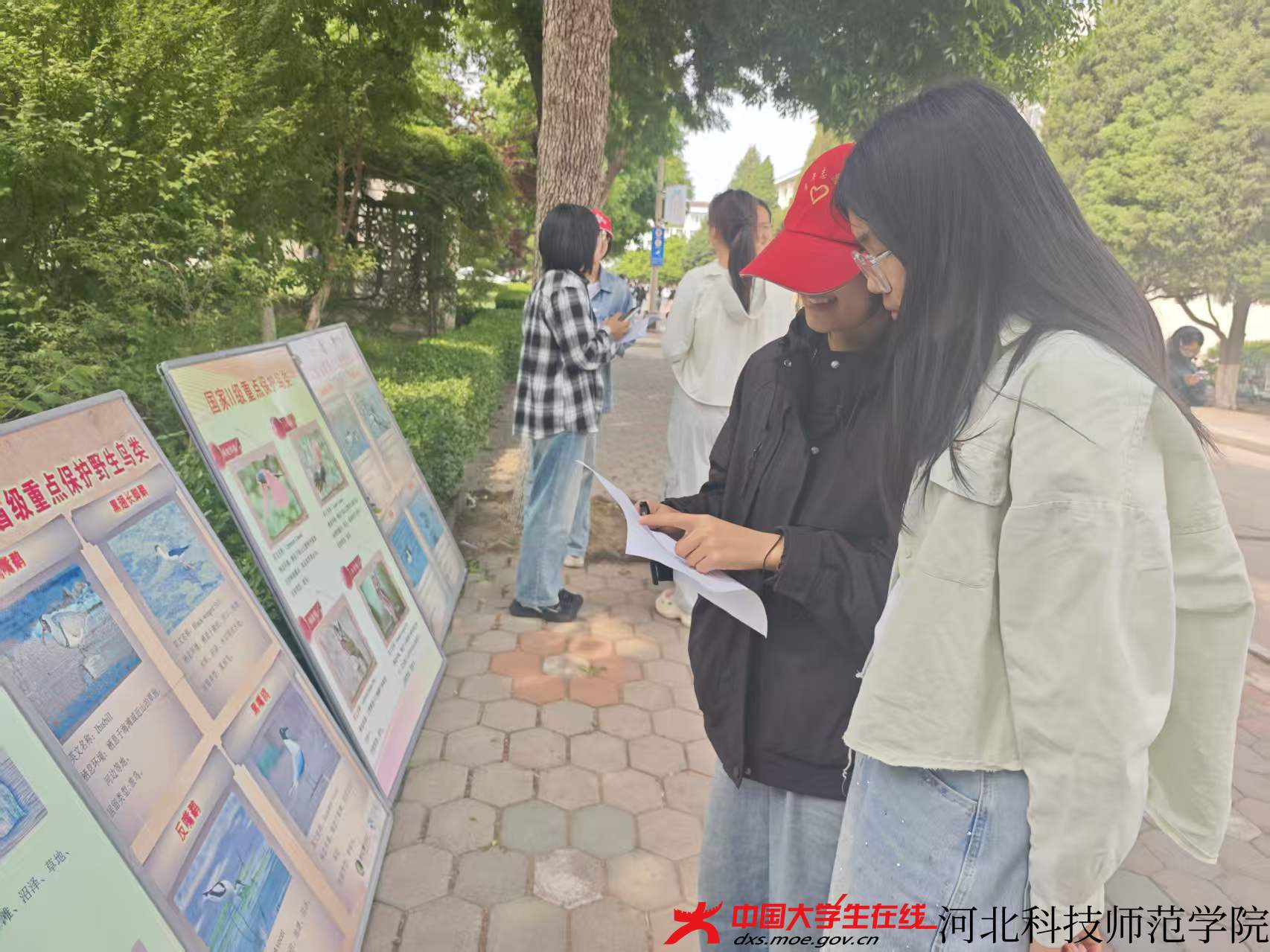 图为志愿者向同学介绍宣传板，刘玥彤摄.jpg