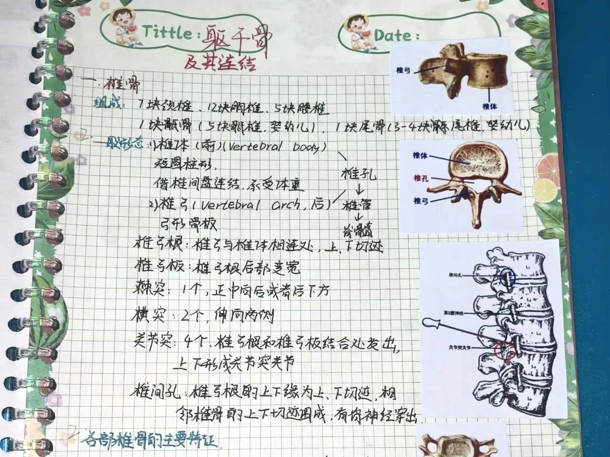 微信图片_20241218102615.jpg 微信图片_20241218102615.jpg