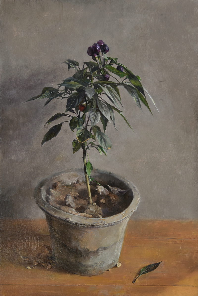 13.油画《办公室里的植物》 王驰.jpg 13.油画《办公室里的植物》 王驰.jpg