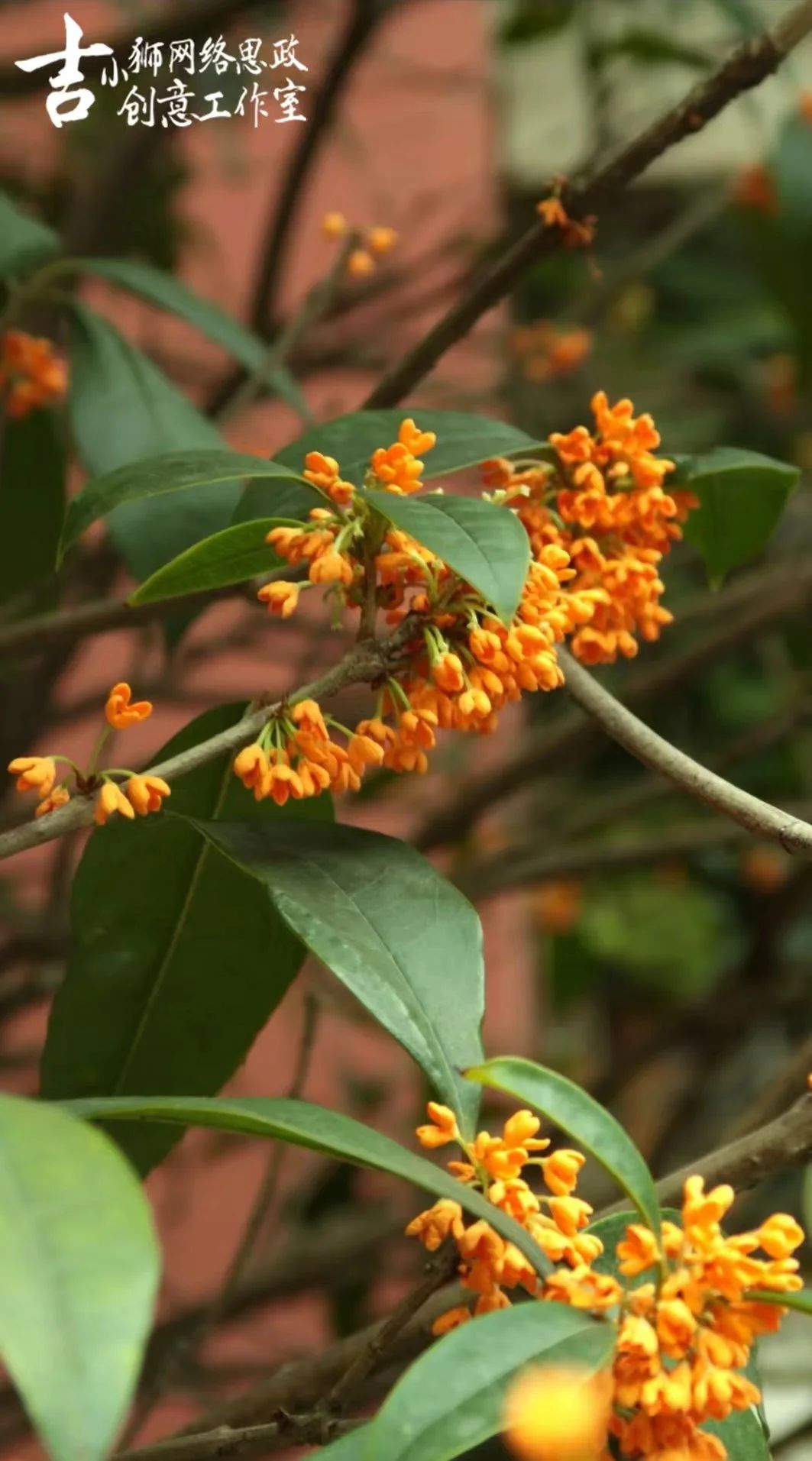 微信图片_20250807204114.jpg 微信图片_20250807204114.jpg