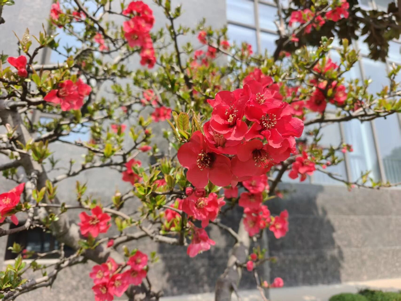 微信图片_2026-03-24_191924_653.jpg 微信图片_2026-03-24_191924_653.jpg