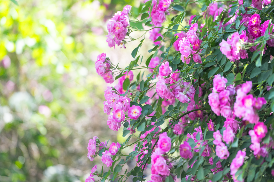 640 (7).png 640 (7).png