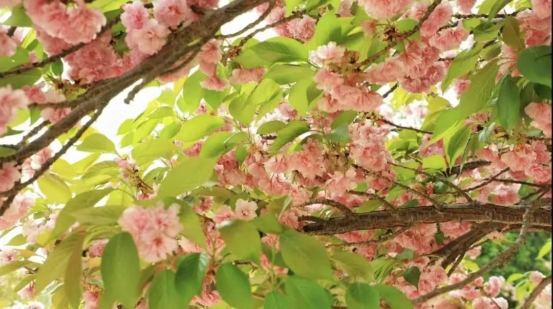 微信图片_20250422140325.jpg 微信图片_20250422140325.jpg