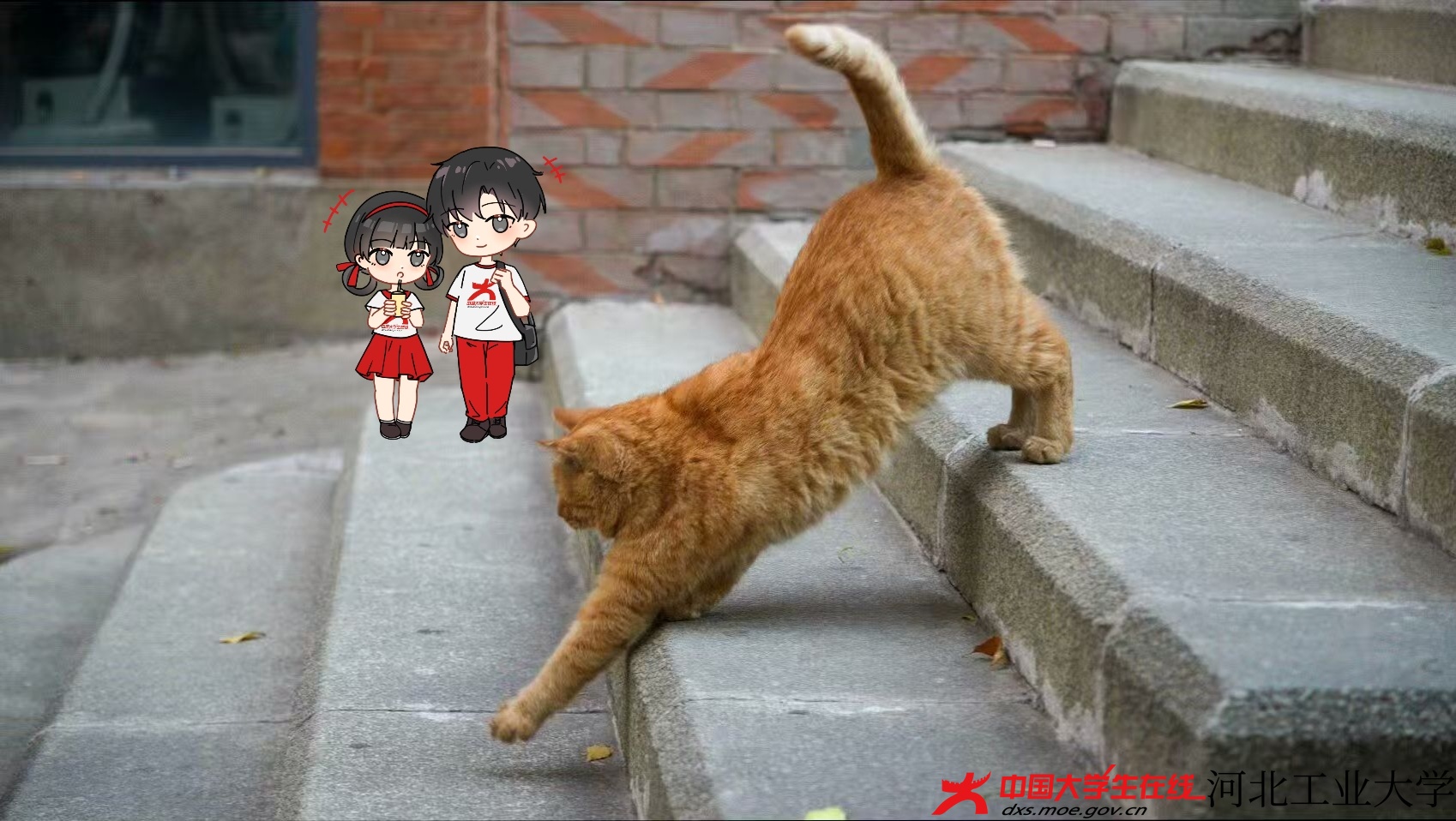 微信图片_20250717193949.jpg