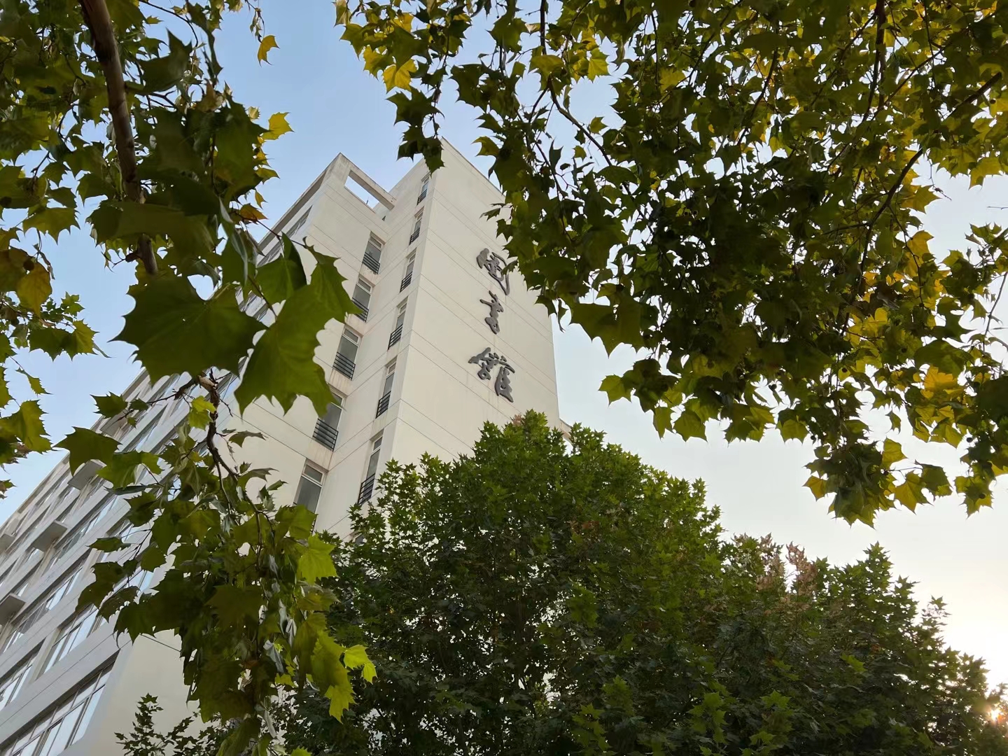 学校图书馆 提供者:姜会.jpg 学校图书馆 提供者:姜会.jpg