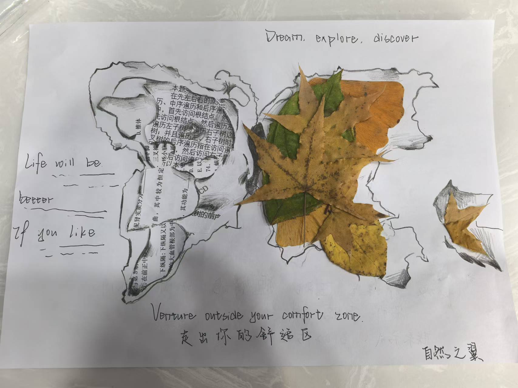 23护理五班魏智晗 自然之翼 24.jpg 23护理五班魏智晗 自然之翼 24.jpg