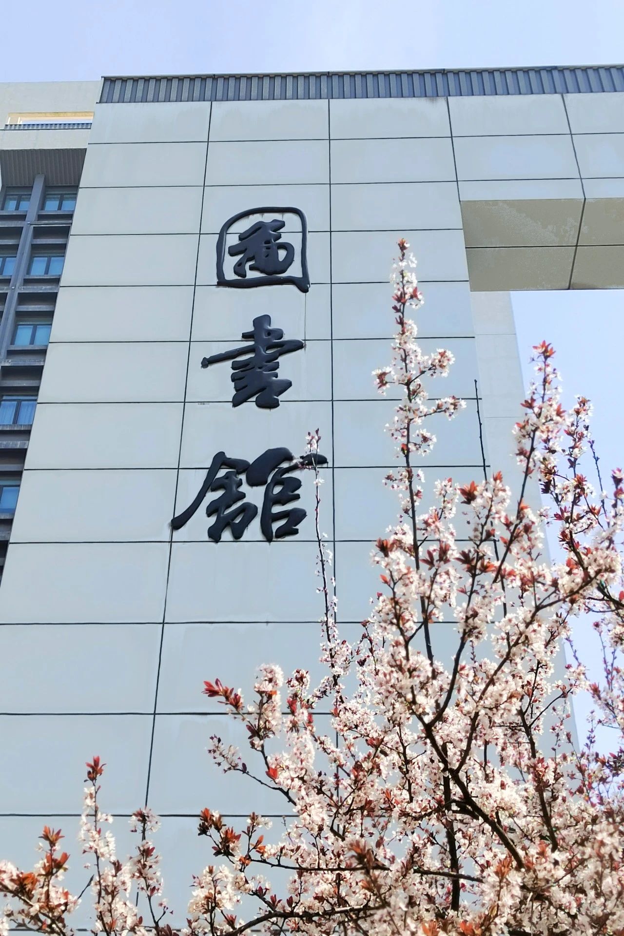 微信图片_20240410150846.jpg 微信图片_20240410150846.jpg