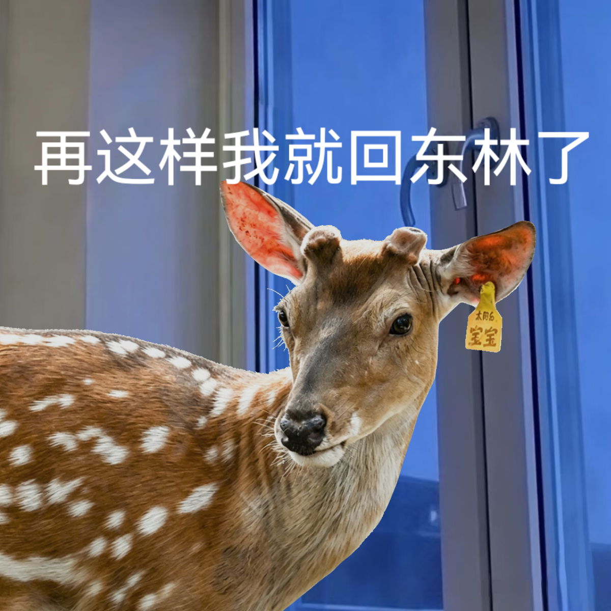 微信图片_2026-06-27_153128_864.png