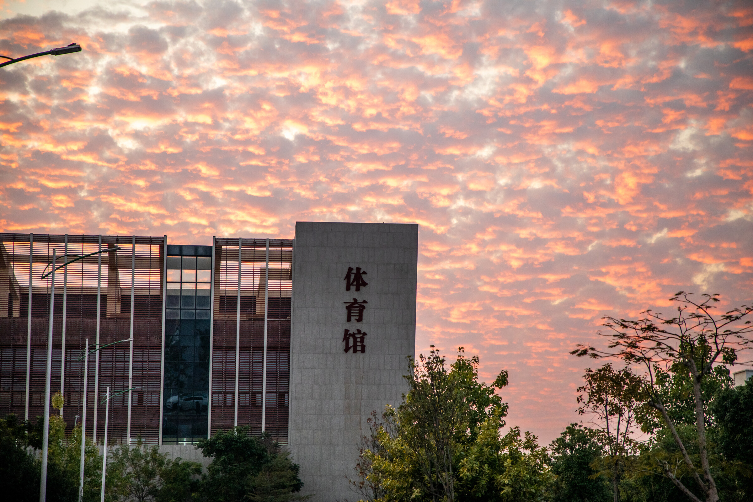 南宁师范大学武鸣校区体育馆