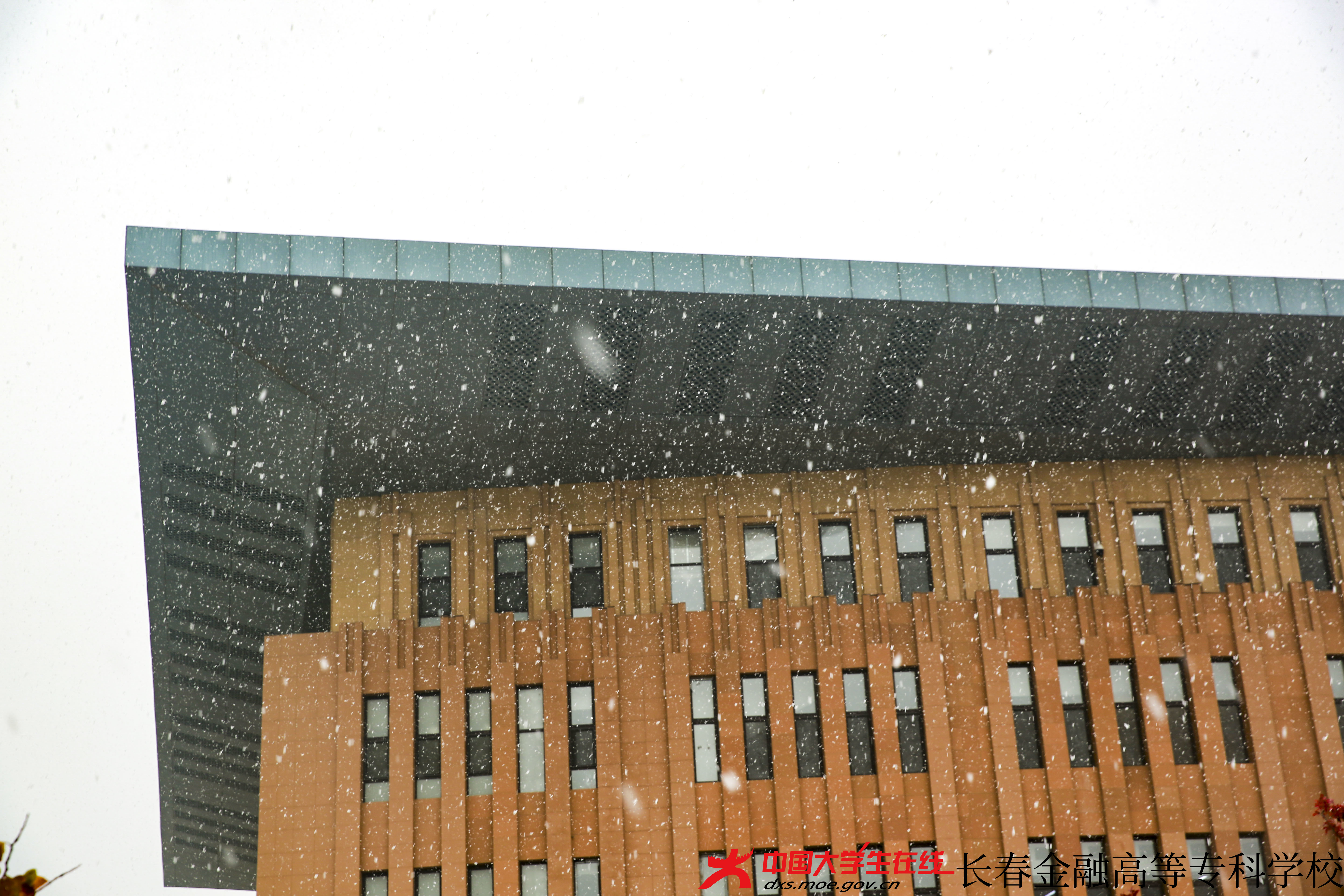 大学生记者团--金专初雪