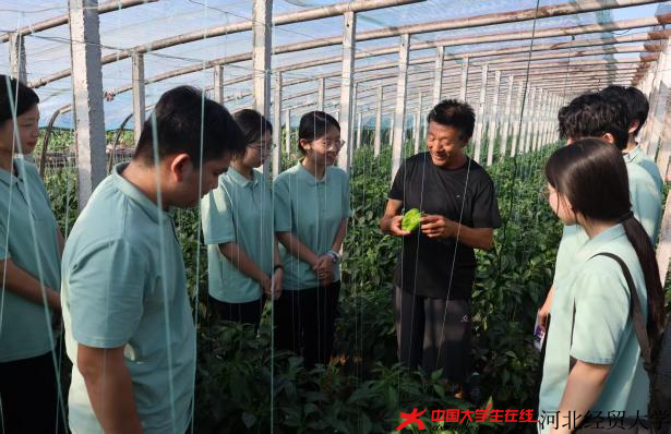 图片13.png 图片13.png