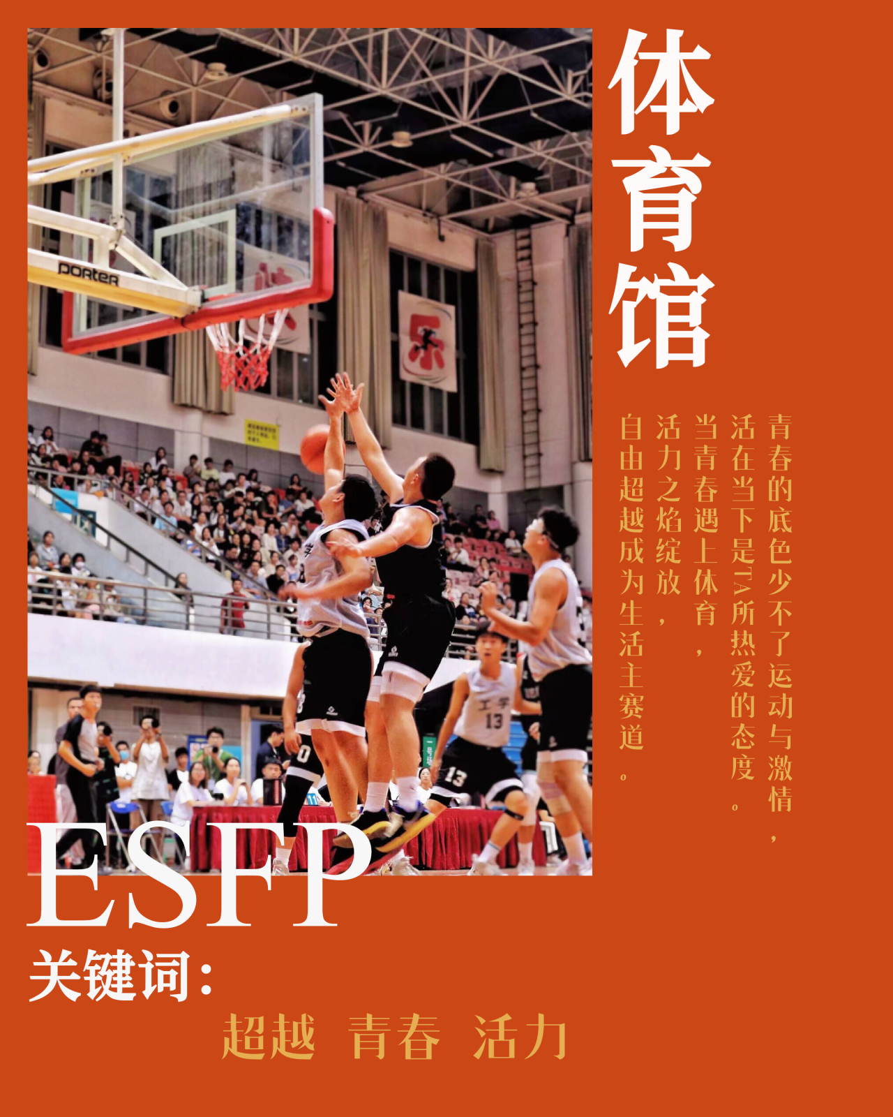 ESFP 体育馆