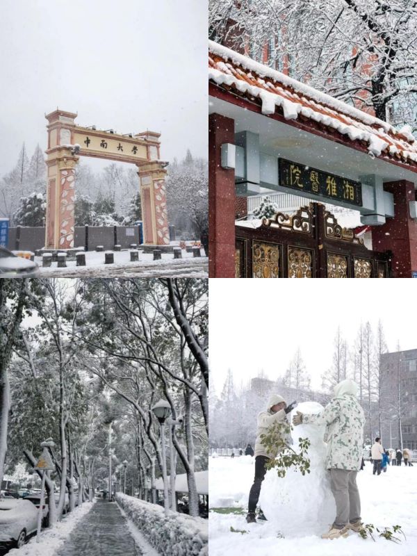 当第一片雪花落入我的手中
丝丝微凉
这是我关于冬天的梦......
共赴一场冬雪，共赏中南浪漫
——by 樱丸小桃子 2024.1.22