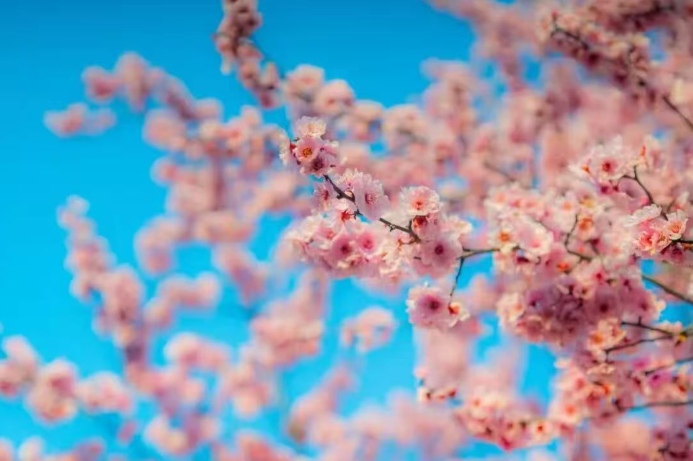 屏幕截图 2026-04-10 235108.png 屏幕截图 2026-04-10 235108.png