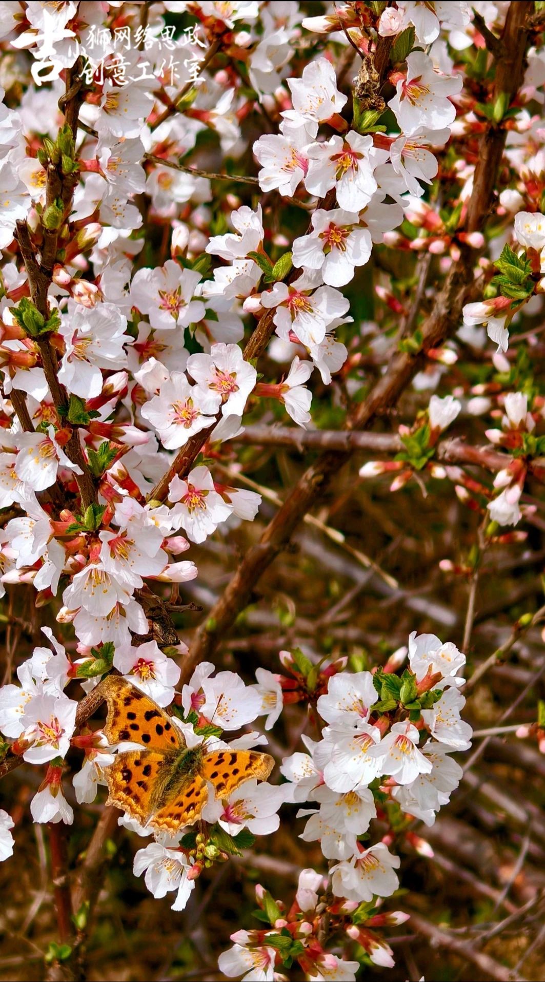 微信图片_20250807204146.jpg 微信图片_20250807204146.jpg