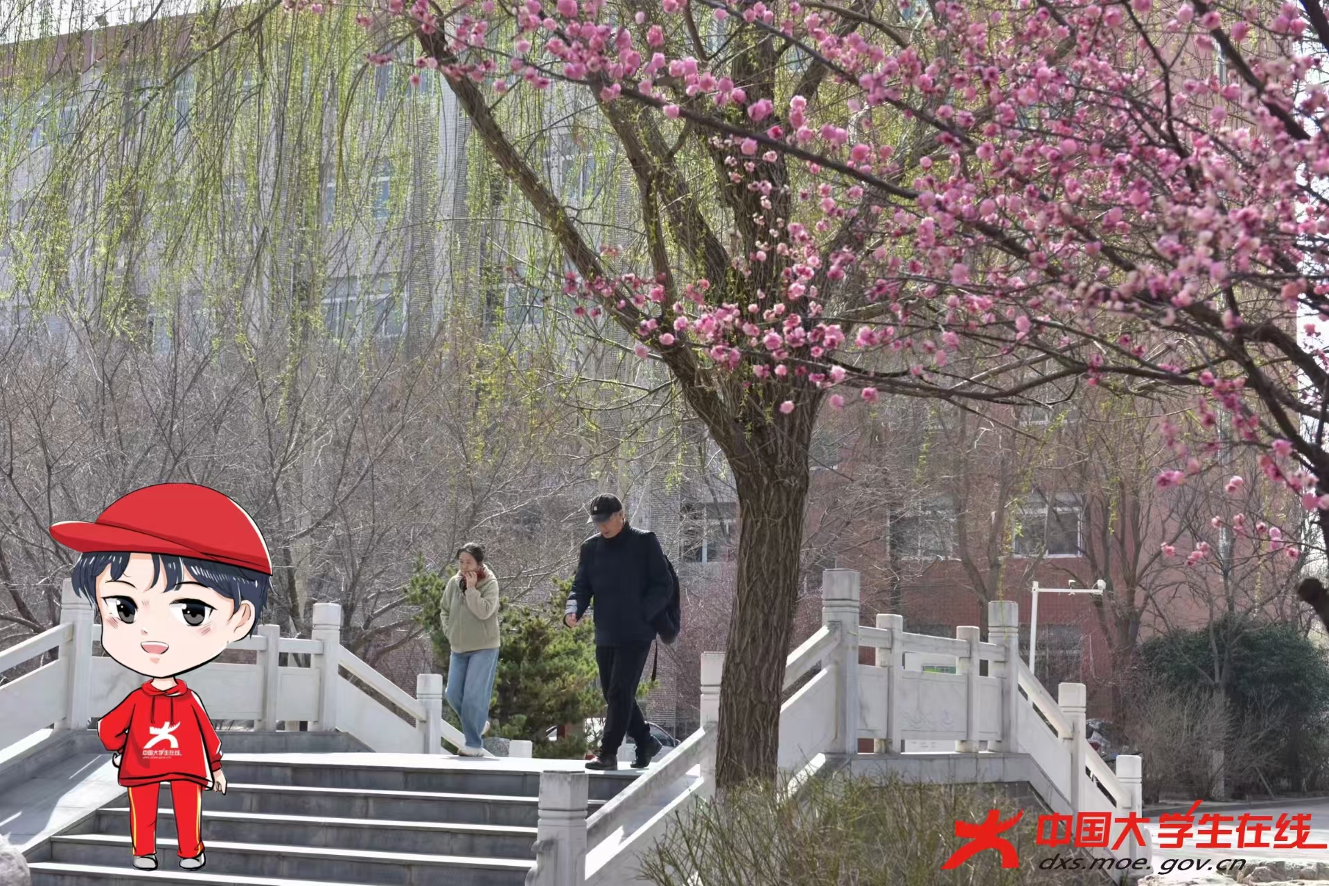 微信图片_202503142202213.jpg 微信图片_202503142202213.jpg