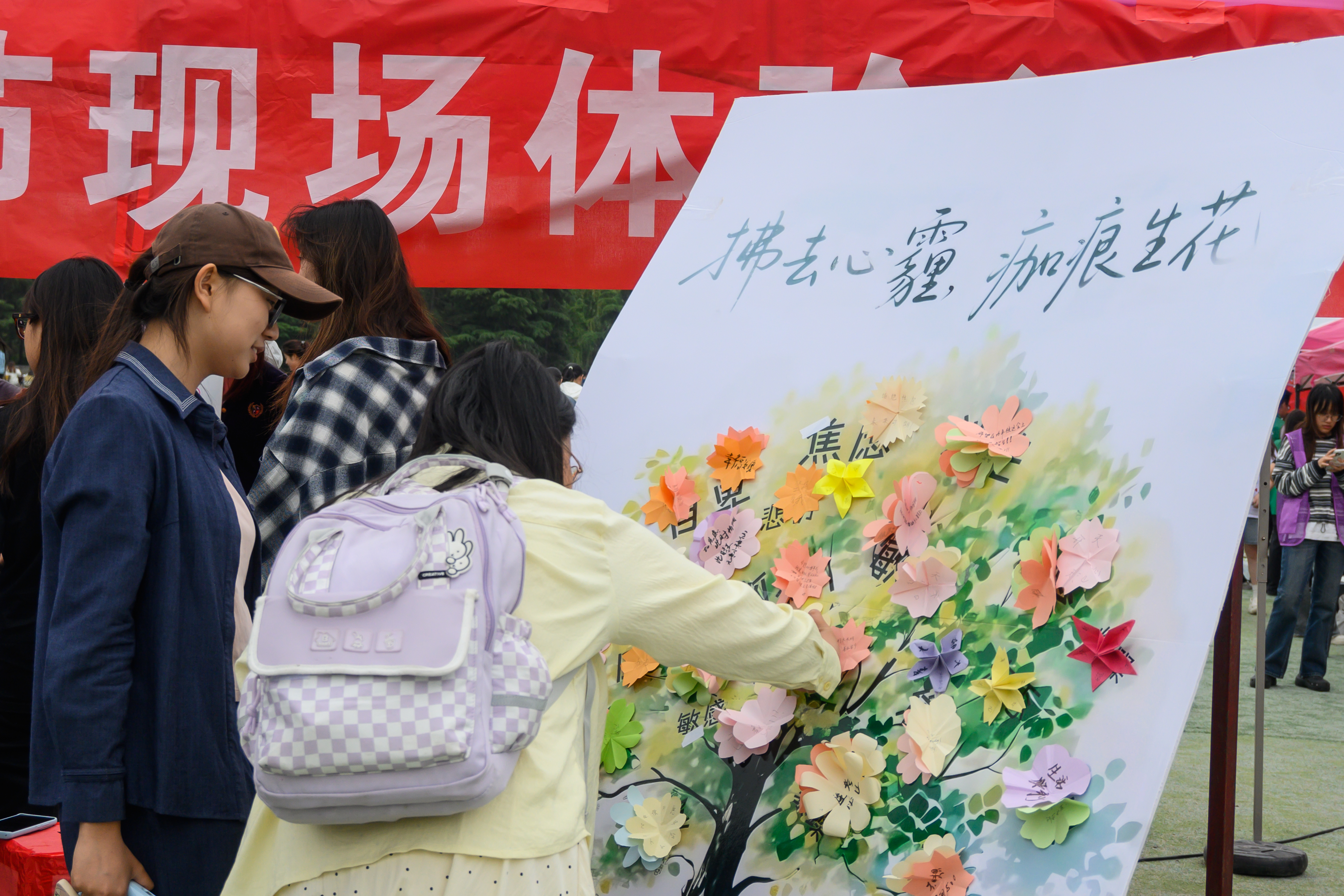 董彦昕 (39).jpg 董彦昕 (39).jpg