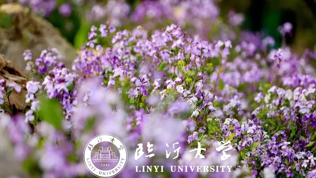 微信图片_2025-12-25_173627_709.jpg 微信图片_2025-12-25_173627_709.jpg