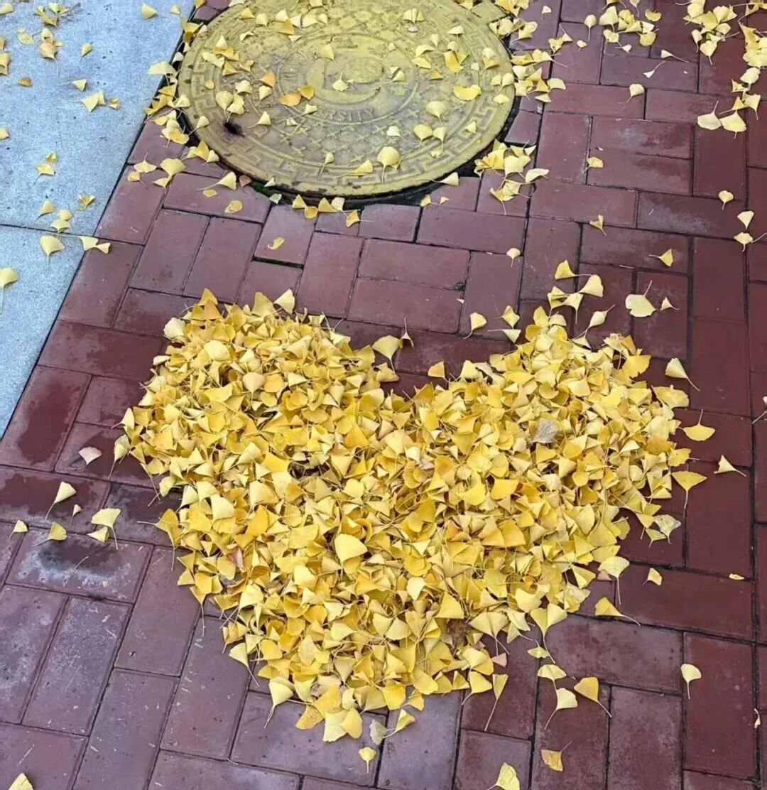 微信图片_20250923231820.jpg
